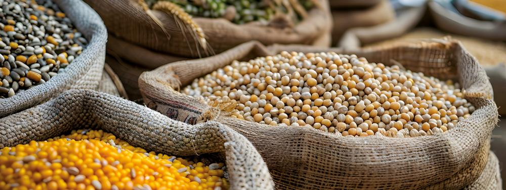 Mêler agroécologie et résilience hydrique pour des systèmes alimentaires durables en Afrique
