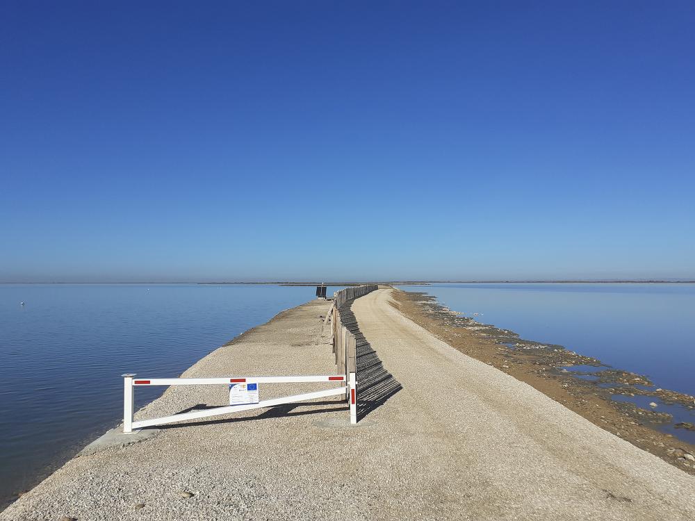 DIGUE 2020, de la chaux et de la terre pour des digues maritimes résistantes en bord de Méditerranée