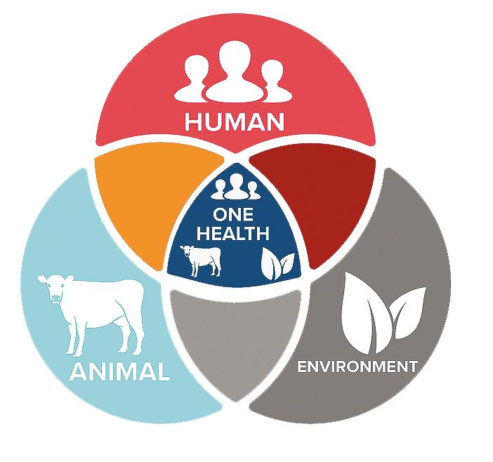 One health for people, animals and environment