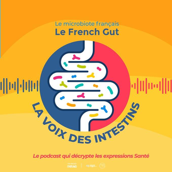 [Podcast] Manger, bouger, pour un microbiote équilibré