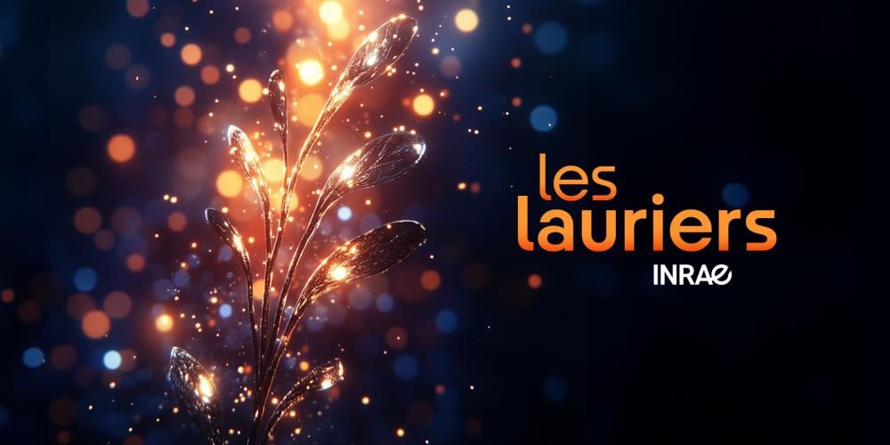 Les Lauriers INRAE 2024