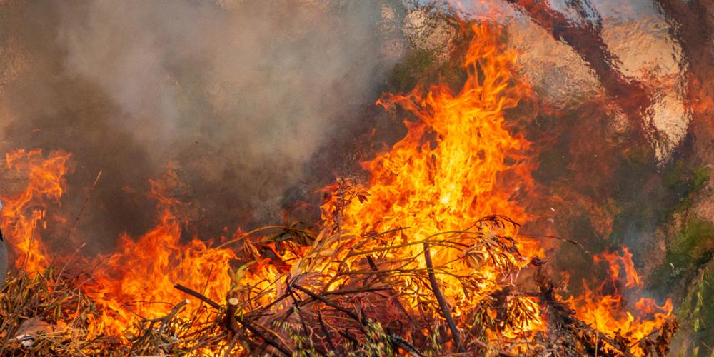 Risque incendie, comprendre et prévenir