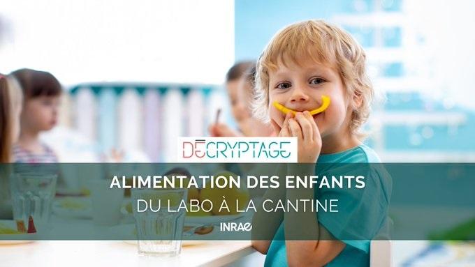 Nos décryptages