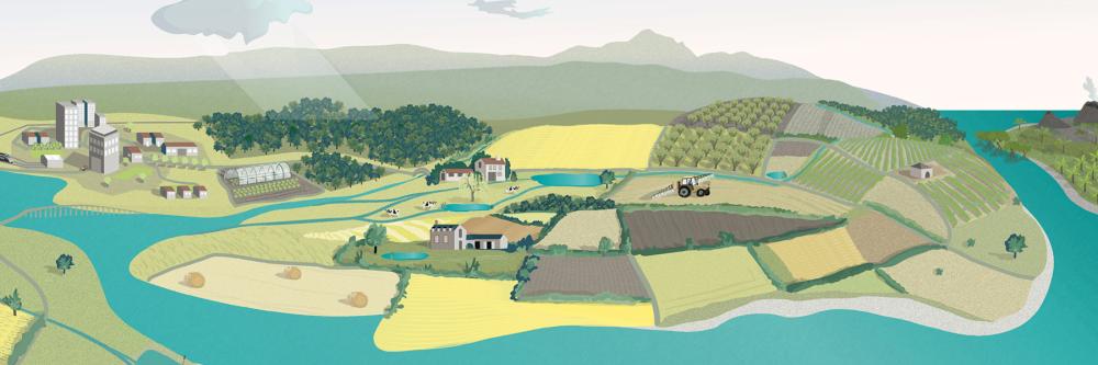 Biodiversity and services provided by nature: what is known about the impact of pesticides?