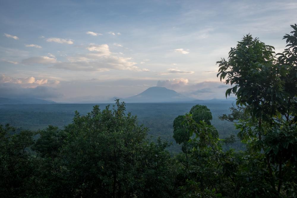 Co-management of protected areas helps reduce deforestation in Africa