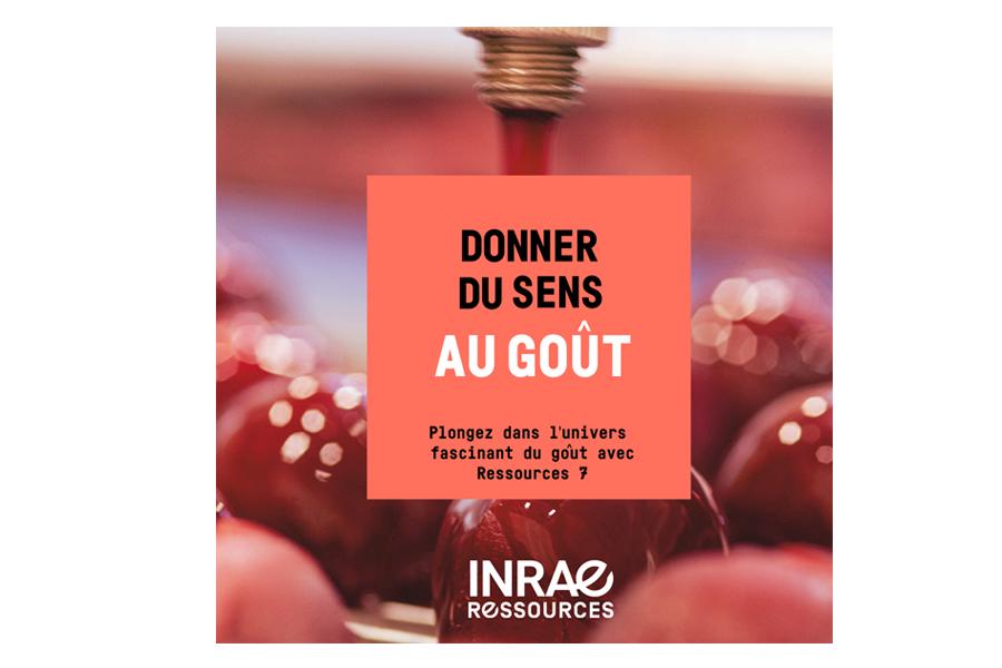 DÉCRYPTAGE Donner du sens au goût
