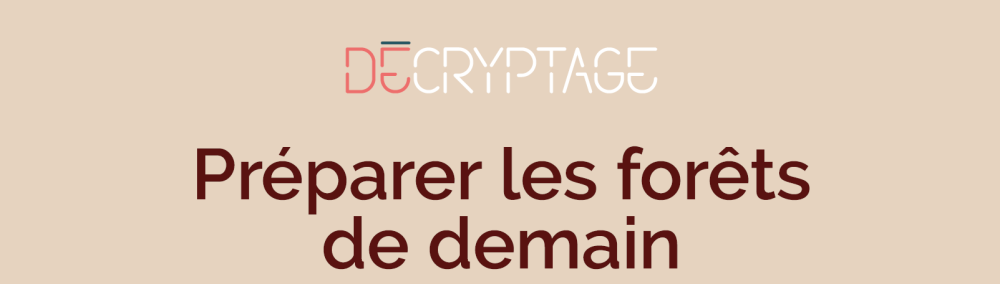 Décrypter les forêts de demain avec notre infographie