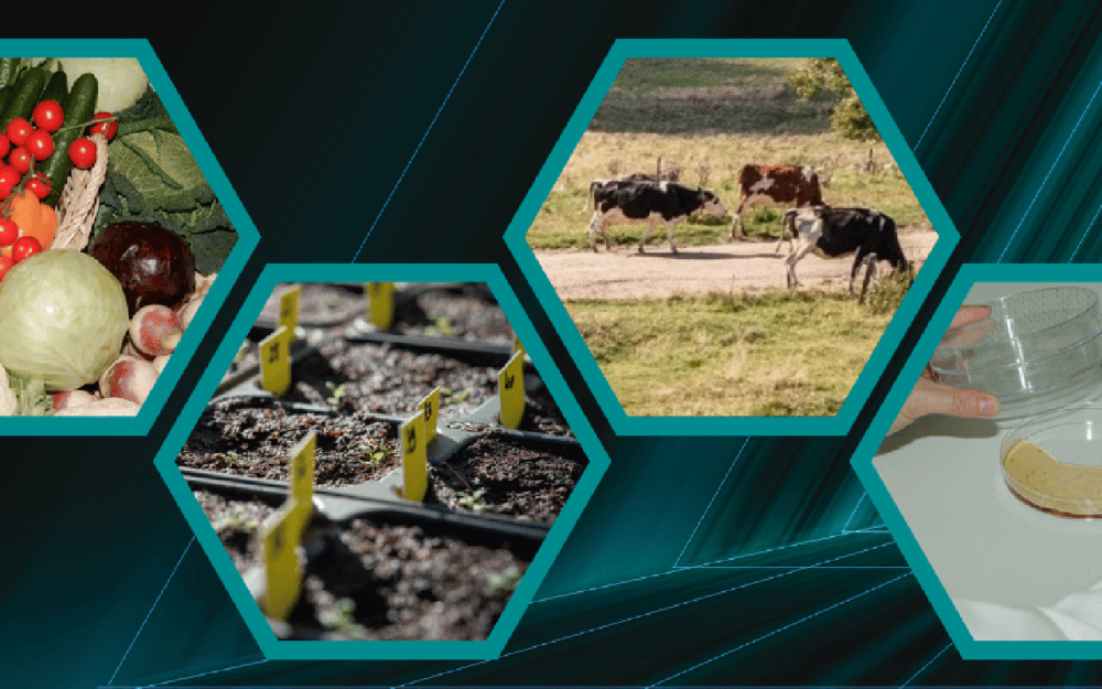 26 mars à Paris - Journée « Des microbiotes de l’environnement au microbiote intestinal »