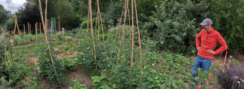 13 mars à 19h30 - Eurékafé : les interactions entre les plantes 