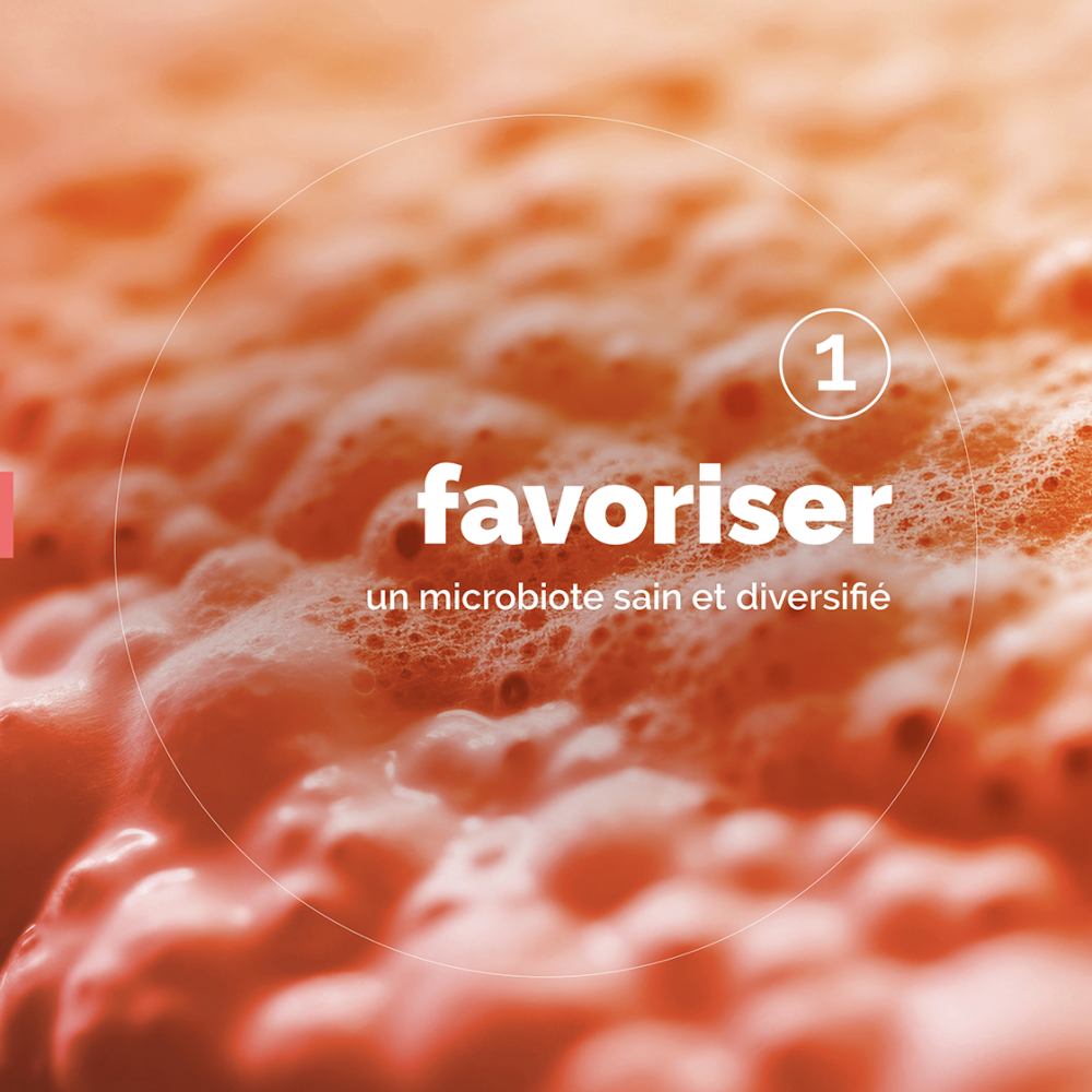 Favoriser un microbiote sain et diversifié