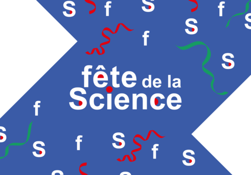 Que faire avec des élèves ?