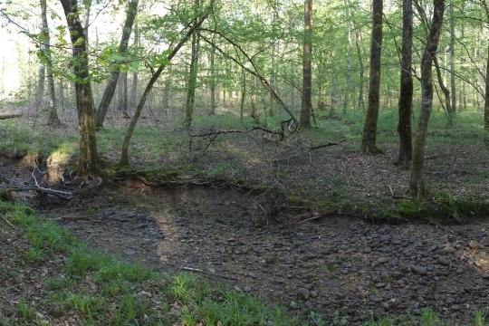 More than half of the world’s rivers are non-perennial:  researchers mapped them for the first time