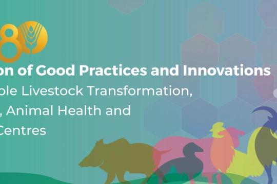 La FAO met à l’honneur les fermes expérimentales engagées dans l’élevage durable