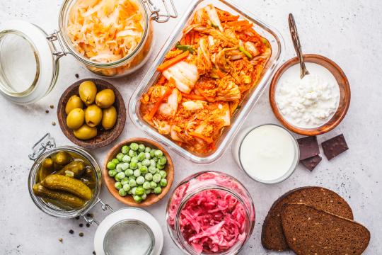 DOMINO : un projet de recherche européen sur le rôle de la diversité des microbiotes d'aliments fermentés sur la santé
