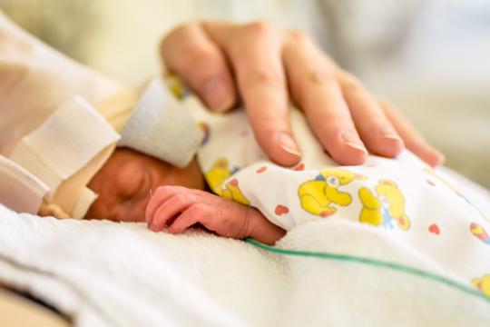 Marqueurs nutritionnels et chimiques dans le lait maternel : influence du régime alimentaire chez les mères d’enfants prématurés