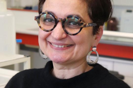 Avec Muriel Mercier-Bonin, le plastique n’est plus fantastique