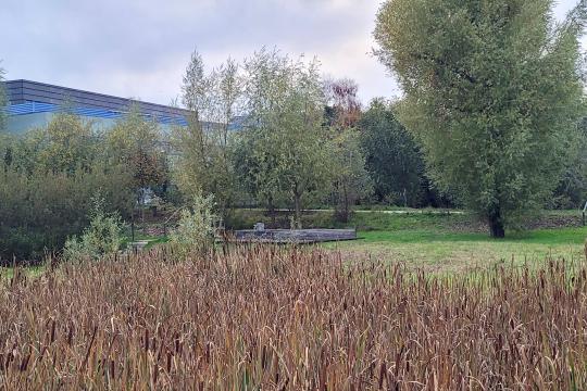 Peut-on réparer ailleurs la nature détruite ici ? Comment libérer la compensation écologique des influences politiques