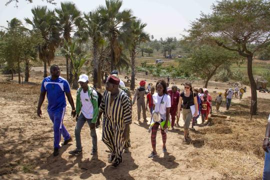 The TSARA initiative: collaborative research promoting sustainable food systems in Africa and Europe continues to expand