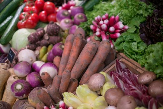 Capacité des bactéries du microbiote intestinal à dégrader les fibres alimentaires