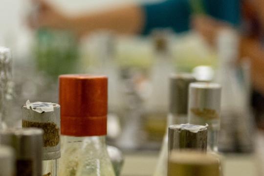 La viande in vitro, une voie exploratoire controversée
