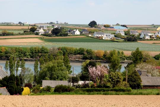 Démographie des exploitations agricoles : quelles perspectives à horizon 2035 ?