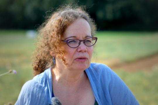 illustration Catherine Macombe, de la mise en terre à la vente en supermarché