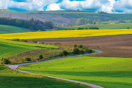 Agriculture compétitive et durable : les apports croissants du biocontrôle