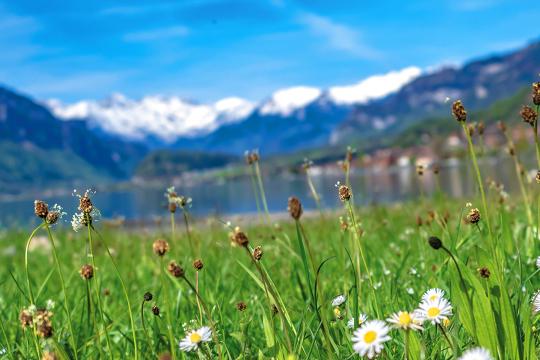 Press report - Putting biodiversity at the heart of INRAE's research: from diagnostics to solutions