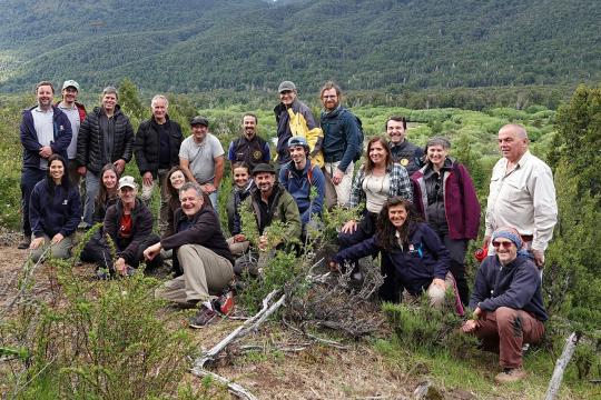 Les écosystèmes forestiers face au changement climatique