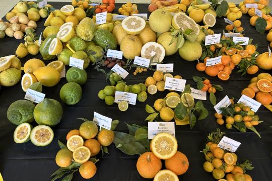 Journée portes-ouvertes 