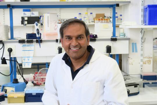 Rajeev Kumar at the heart of meiosis