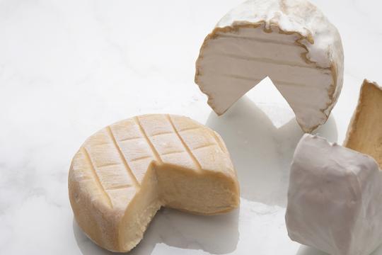  3 questions à une jeune pousse : Les Nouveaux Affineurs 