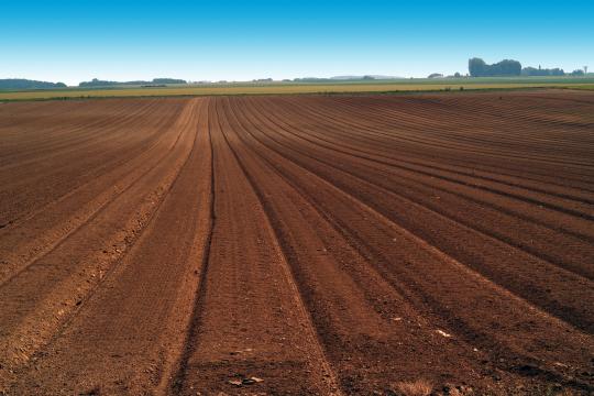 La moitié du phosphore disponible des sols agricoles à l’échelle mondiale provient des engrais minéraux