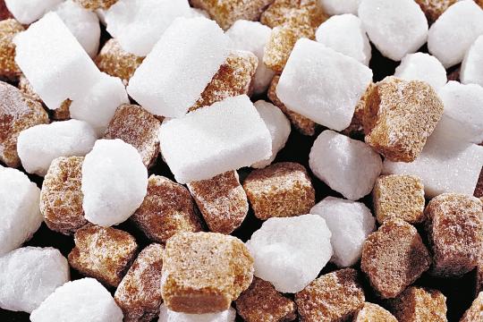Diabète et obésité : disparition du détecteur du glucose au niveau de l’abdomen