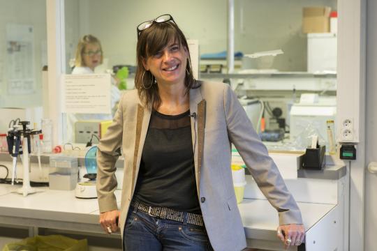 illustration Sophie Layé, mémoire vive