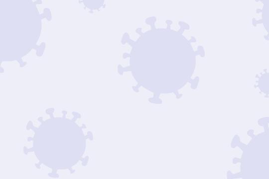 COVID-19: first results of implementing the INRAE crisis plan 