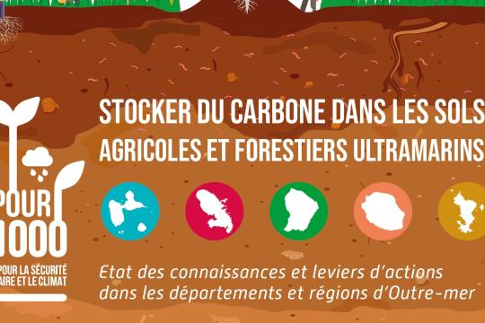 « 4 pour 1 000 » : des recommandations inédites pour préserver le carbone des sols en outre-mer et atténuer le changement climatique