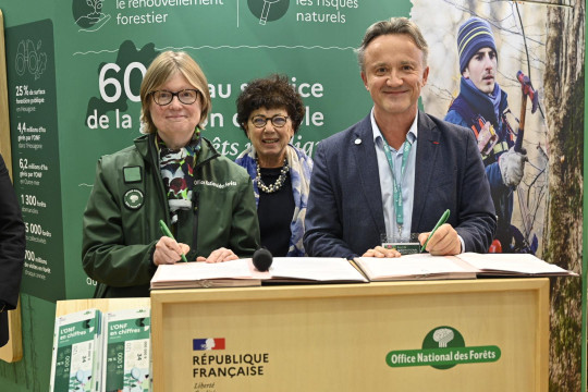 INRAE et l’ONF créent un laboratoire partenarial associé pour la gestion durable des forêts de Guyane