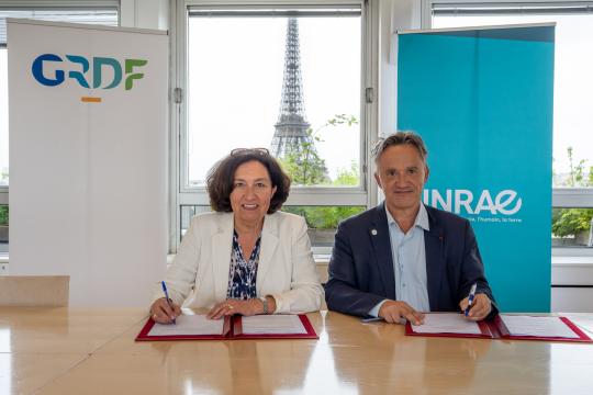 GRDF et INRAE renouvellent leur partenariat pour accélérer le développement des gaz verts
