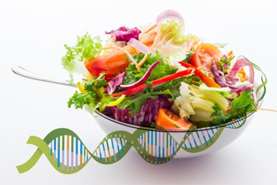 The influence of genetics on nutritional requirements