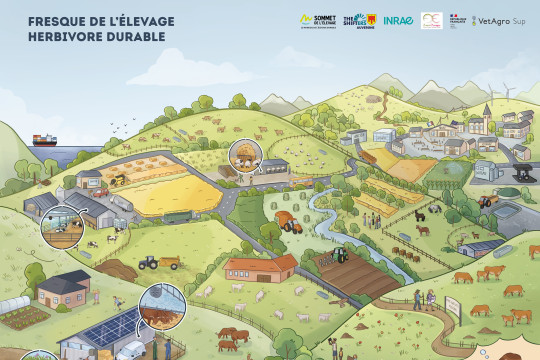 La Fresque de l’élevage herbivore durable : un outil pédagogique pour éclairer les débats et essaimer les connaissances