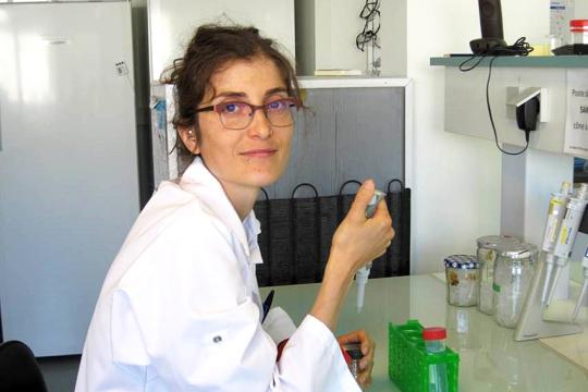 illustration Claudia Bartoli, le microbiote des plantes