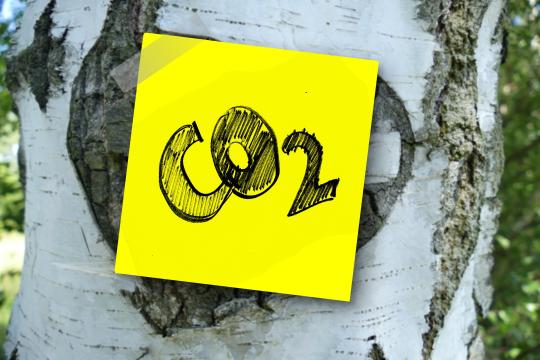 Crédits carbone : mieux mesurer les impacts  pour plus de crédibilité