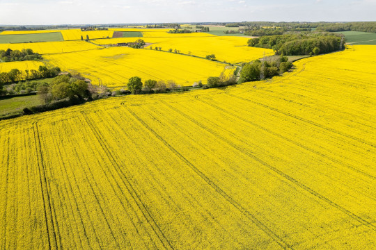 Bilan positif pour le Plan de sortie du phosmet : une première étape technique franchie et une dynamique collective engagée pour la recherche d’alternatives 
