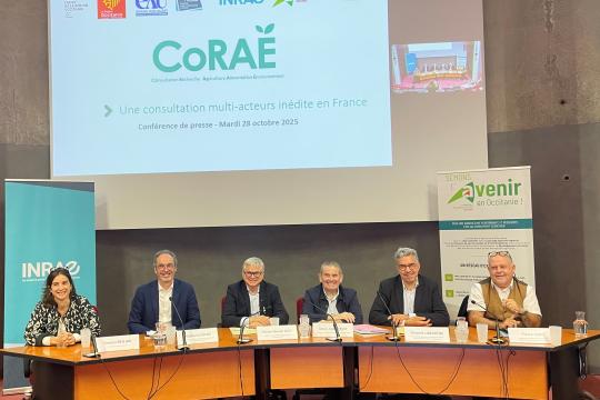 CoRAE : une consultation multi-acteurs inédite en France