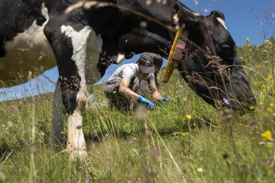 L'élevage face aux défis du changement climatique