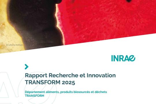 Le rapport Recherche et Innovation du département TRANSFORM édition 2025 est paru !