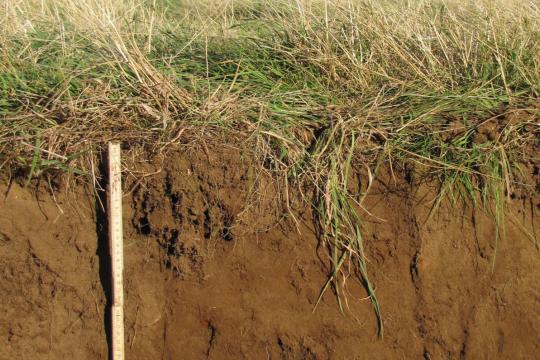 The rate of soil carbon turnover: a matter of depth