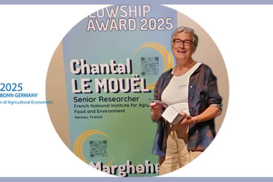 Chantal Le Mouël distinguée par l’EAAE Fellow Award pour sa contribution à l’avancement de l’économie agricole en Europe
