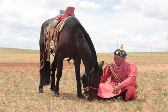Il y a 4 200 ans, la domestication du cheval dans la vallée du Don a accéléré l’essor des civilisations des peuples d’Eurasie